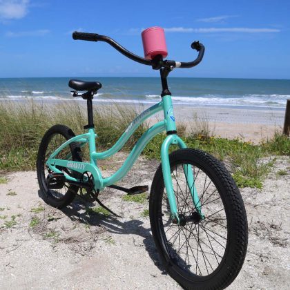 Youth Cruisers